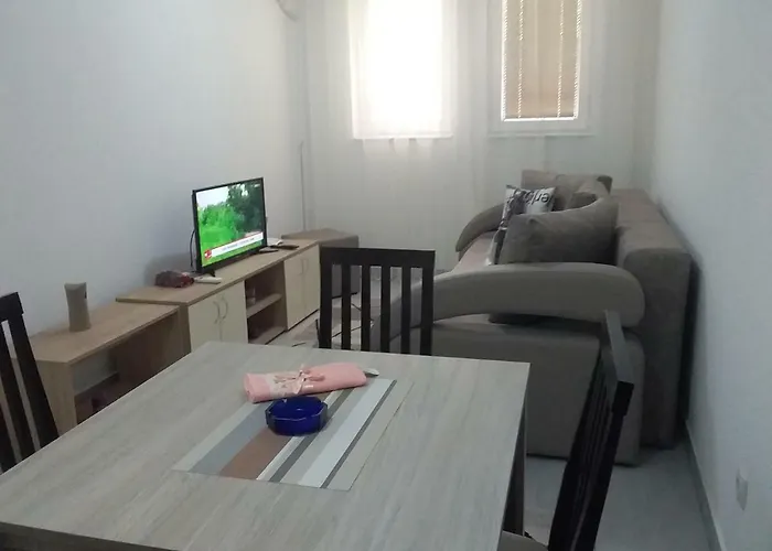 Apartament Jevtić 1